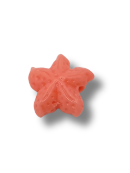 stella in resina 19mm