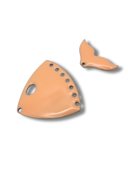 Testa di pesce con coda pesca